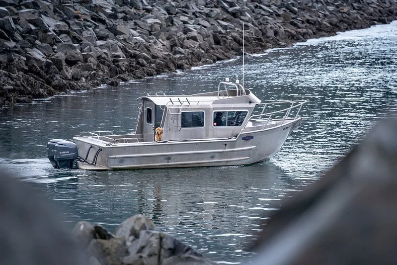 Boating Alaska: Cold-Water Survival & Safety Tips