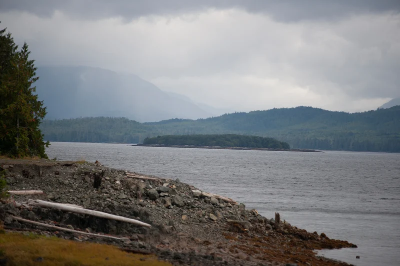 A rocky shoreline with fallen logs in the foreground, leading to calm water. A small, tree-covered island is in the midground, with misty, forested mountains under an overcast sky in the distance.