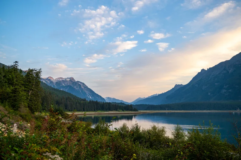 A wide landscape view of a calm lake or fjord reflecting a cloudy sky with mountains and dense forests surrounding it.