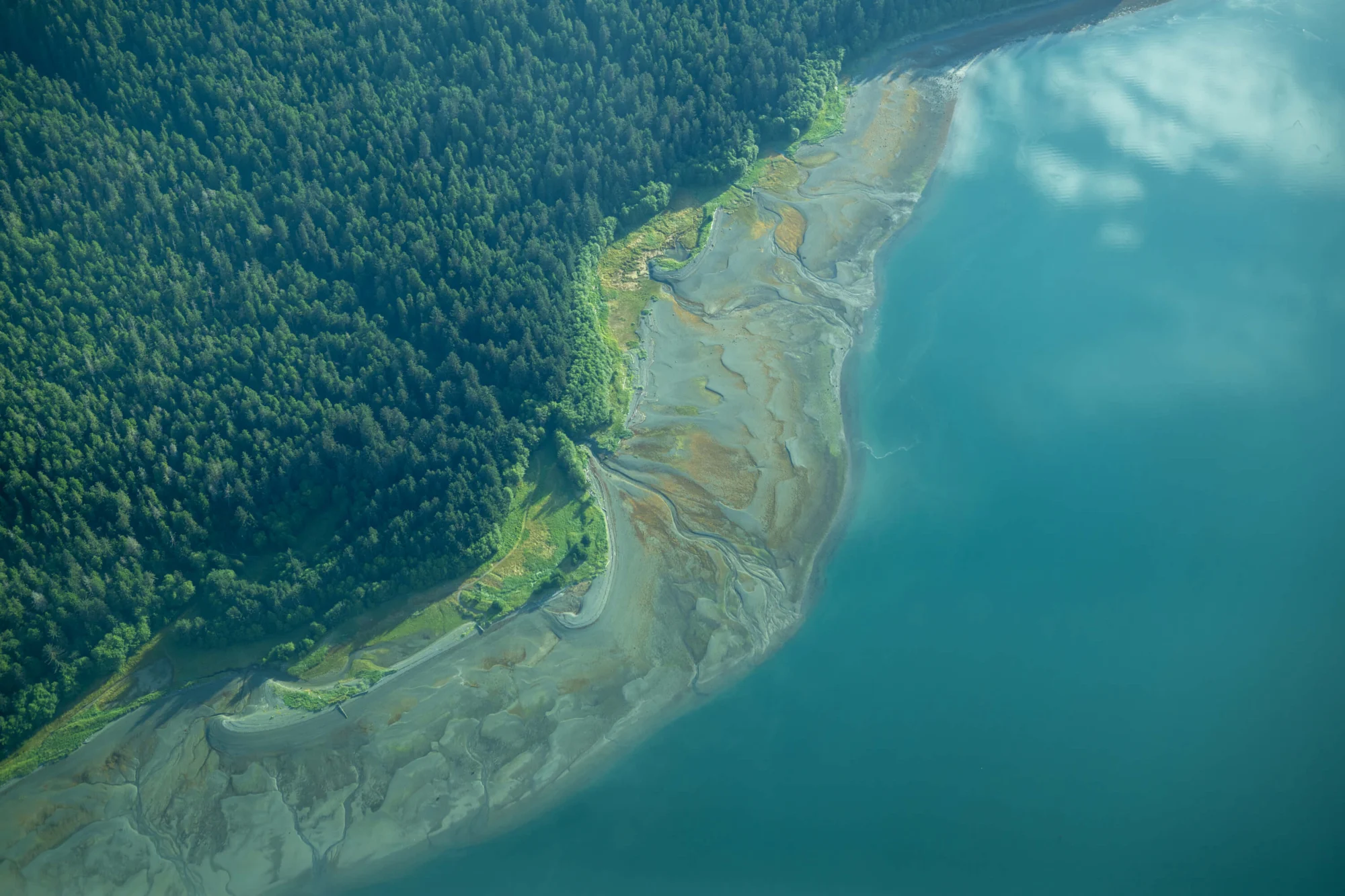 Aerial view of a dense green forest meeting a patterned coastline of tidal flats, next to clear blue-green water reflecting clouds.