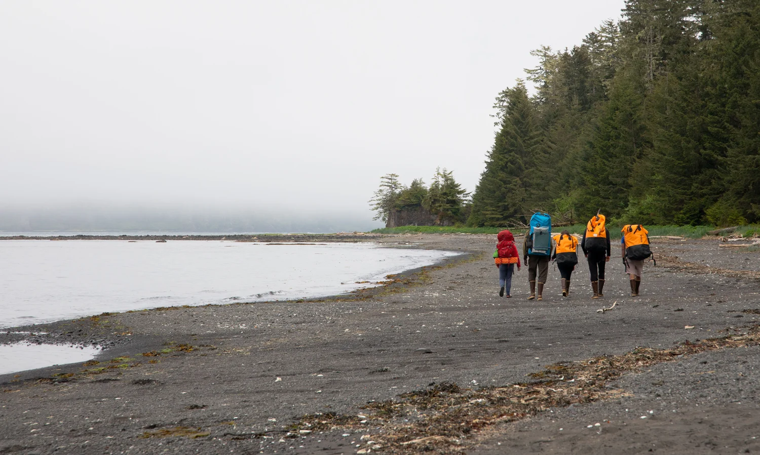Four hikers with backpacks walk along a dark beach next to the ocean, with a dense forest on one side and a foggy sky overhead.