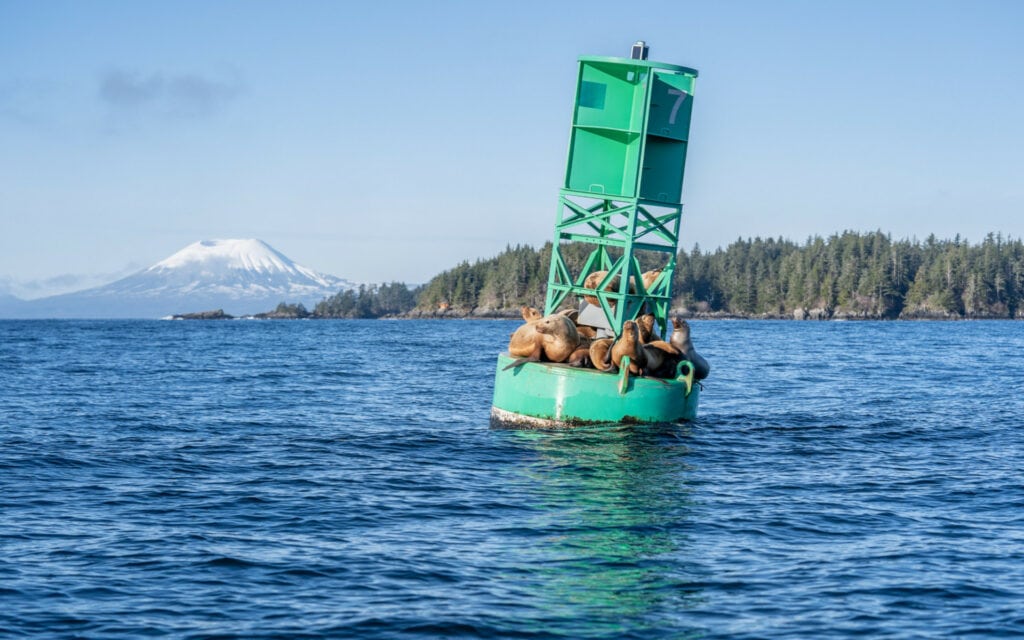 Wrangell Medical Center Imaging SouthEast Alaska Regional Health